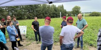 Arbuz – tajemnica słodkiej uprawy rozwiązana!