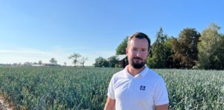 Nawożenie pora nakierowane na wysokiej jakości plon