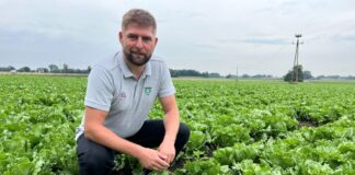 Biostymulacja i wsparcie biologiczne sałaty Biostymulacja i wsparcie biologiczne sałaty