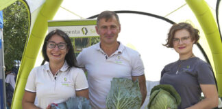 Dni Kapusty 2024 w Charsznicy – białe i czerwone kapusty od Argenta Seeds