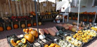 Sprzedaż warzyw z własnej uprawy – wymogi i przepisy sprzedaż warzyw