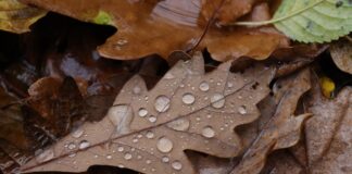 To będzie zimny i deszczowy początek października. Prognoza pogody na najbliższy tydzień