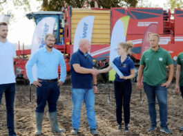 Rekord Polski w plonie ziemianka. Ile ton z hektara? Rekord Polski w plonie ziemianka. Ile ton z hektara?