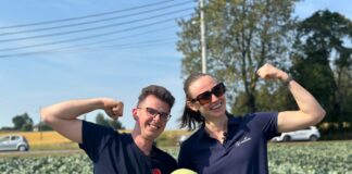 Odmiany kapust na poletkach Seminis i plantacjach oraz nawożenie i ochrona odmiany kapust