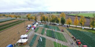 Innowacje w uprawie warzyw: pokaz Sakata w Topoli Królewskiej przyciągnął rolników