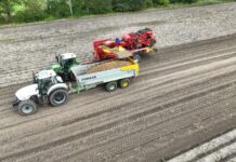 Wojna na Bliskim Wschodzie uderza w producentów ziemniaków