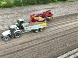 Wojna na Bliskim Wschodzie uderza w producentów ziemniaków