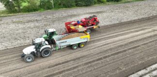 Wojna na Bliskim Wschodzie uderza w producentów ziemniaków