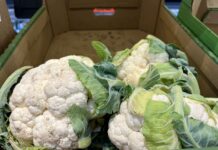 Sprawdzamy ceny brokułów i kalafiorów w hurcie (29.10.2025) ceny brokułów i kalafiorów