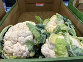 Sprawdzamy ceny brokułów i kalafiorów w hurcie (29.10.2025) ceny brokułów i kalafiorów