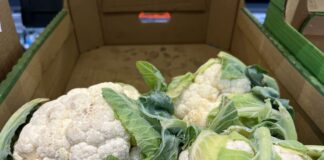 Sprawdzamy ceny brokułów i kalafiorów w hurcie (29.10.2025) ceny brokułów i kalafiorów