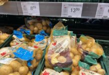 Dlaczego Polska importuje tyle ziemniaków? Najwięcej z Niemiec
