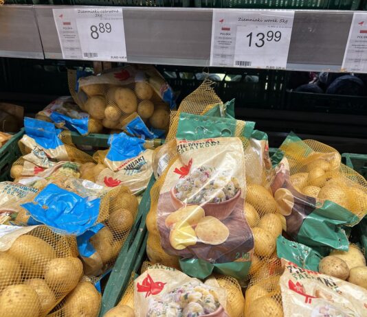 Dlaczego Polska importuje tyle ziemniaków? Najwięcej z Niemiec