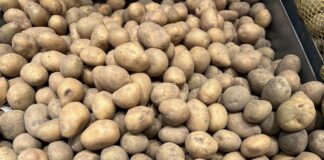 Czy czeka nas wzrost cen ziemniaków? cena ziemniaków