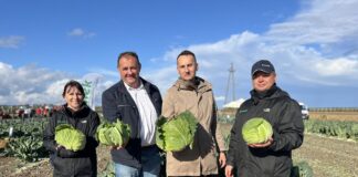 Odmiany Sakata zaprezentowane w Topoli Królewskiej