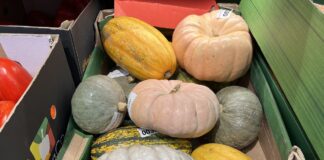 Szczyt sezonu na dynie. Ile kosztują w marketach i w hurcie?