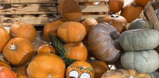 Halloween – dyniowy zawrót głowy w marketach!