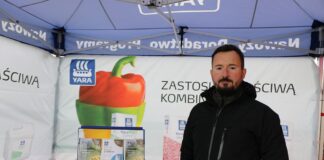 Nawożenie kapusty krok po kroku. Jak zwiększyć plon i poprawić jakość warzyw? nawożenie kapusty