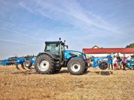 Praktycznie rozwiązania do ochrony i nawożenie kapust w suchym i upalnym sezonie nawożenie kapusty