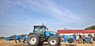 Praktycznie rozwiązania do ochrony i nawożenie kapust w suchym i upalnym sezonie nawożenie kapusty