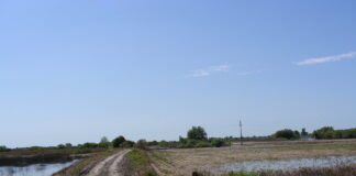 Co po powodzi? ABC postępowania po podtopieniach i zalaniach upraw
