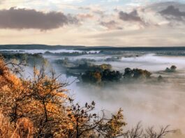 Zbliża się koniec dobrej aury. Jaką pogodę przyniesie listopad?
