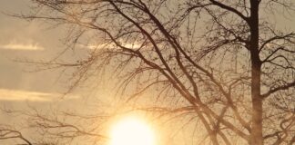 Ciepło za dnia, przymrozki o porankach – prognoza pogody na 3 tydzień października