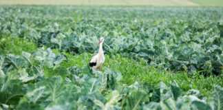 Pogoda na początku listopada. Na zimę jeszcze trochę poczekamy