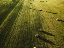 Rolnictwo 4.0 – jakie maszyny? Rolnictwo 4.0