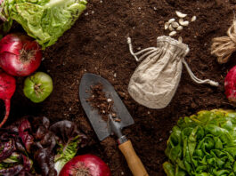 Permakultura – co to? Permakultura