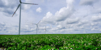 Rolnik producentem nie tylko żywności, ale również energii?