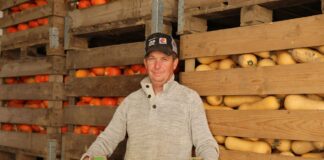 Uprawa dyni: podstawa to rynek zbytu uprawa dyni