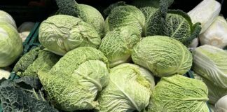 Aktualne ceny kapusty w hurcie i detalu (47-48. tydzień) cena kapusty