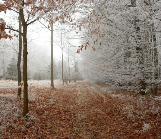 Nadchodzi zima – prognoza pogody na ten tydzień nie pozostawia wątpliwości prognoza na zimę
