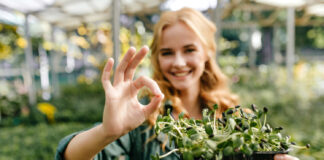 Jak uzyskać certyfikat gospodarstwa ekologicznego? gospodarstwo ekologiczne