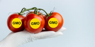 GMO w Polsce – regulacje prawne GMO w Polsce