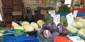 Warzywnicze podsumowanie tygodnia – 6-10 stycznia