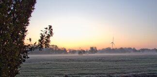 Jaka pogoda na początku grudnia?