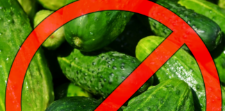 Ogórki z Rosji zatrzymane przez IJHARS