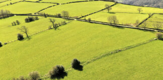 Co można wybudować na działce rolnej bez pozwolenia w 2025? co można wybudować na działce rolnej 2025