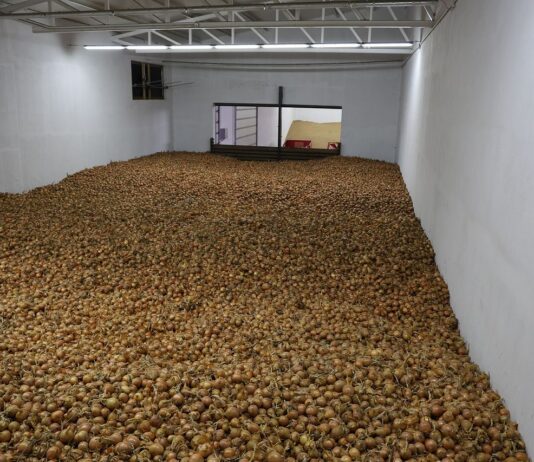 Bakteriozy w cebuli – profilaktyka i ograniczanie ryzyka