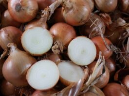 Szanse i zagrożenia. Jak z sukcesem produkować cebulę?