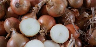 Szanse i zagrożenia. Jak z sukcesem produkować cebulę?