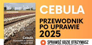 CEBULA. Nowy Przewodnik po uprawie już dostępny!