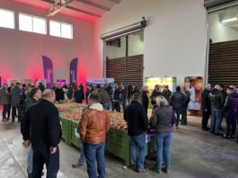 Najlepsze praktyki w produkcji i przechowaniu cebuli