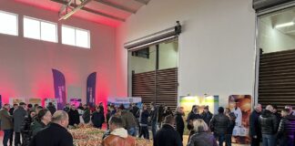 Najlepsze praktyki w produkcji i przechowaniu cebuli