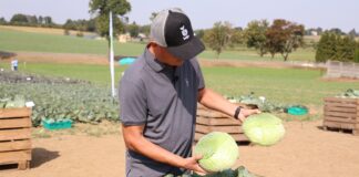 Warzywnicze nowości od Bejo