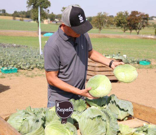 Warzywnicze nowości od Bejo