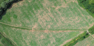 Utwardzenie terenu na działce rolnej – czy wymaga pozwolenia? Utwardzenie terenu na działce rolnej – czy wymaga pozwolenia?