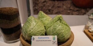 Warzywnicze innowacje na Fruit Logistica 2025